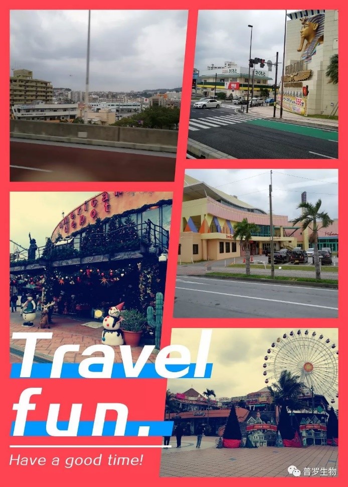 1532586679296058.jpg 1532586679296058.jpg