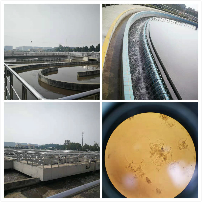 1571893893839193.jpg 微信圖片_20191023131712_meitu_2.jpg