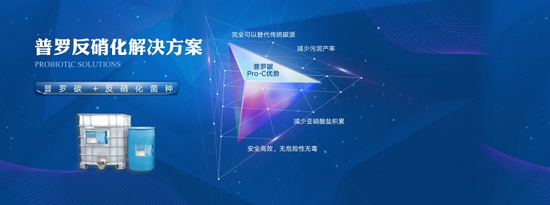 1577324744539244.jpg 普羅生物banner -pc.jpg