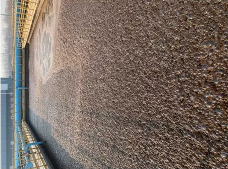 1581923569780866.png 2.png