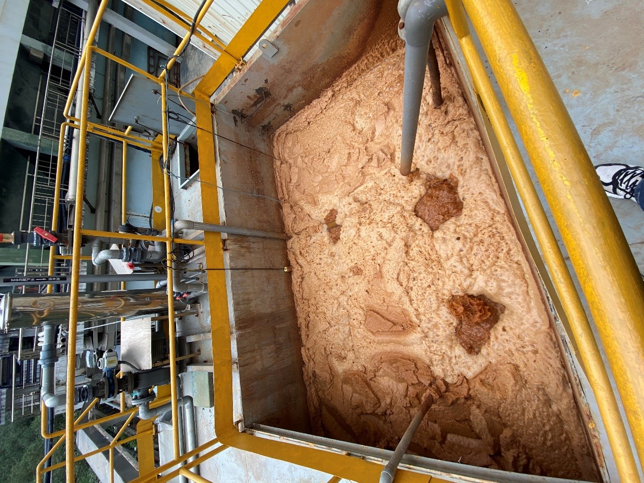 1589263204180865.jpg 1589263204180865.jpg