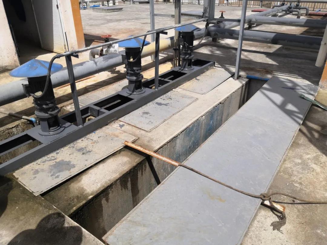 硝化菌種.jpg 硝化菌種.jpg