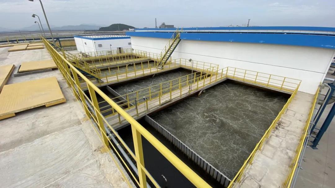 菌種.jpg 菌種.jpg