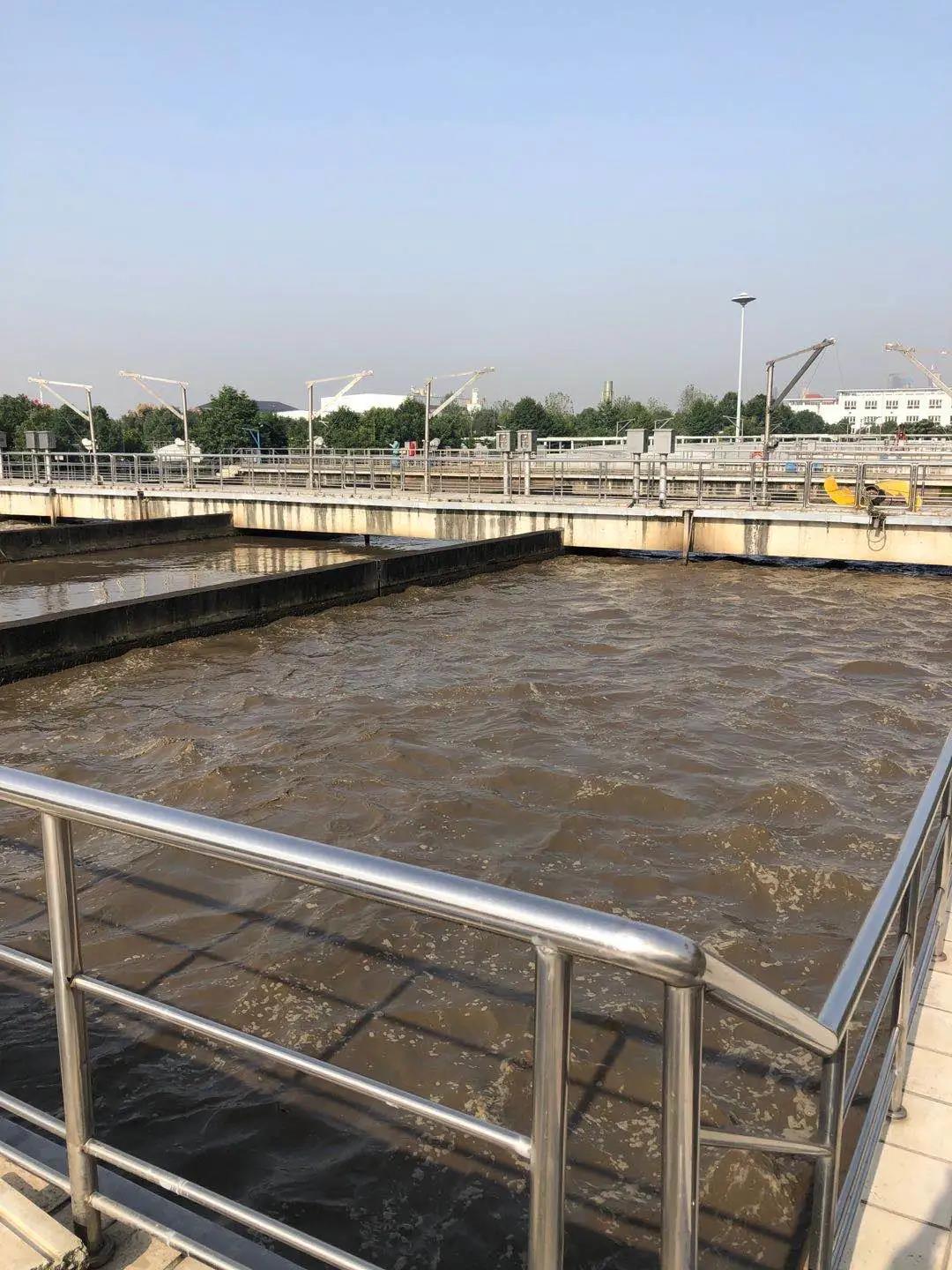 1604653921910524.jpg 1604653921910524.jpg