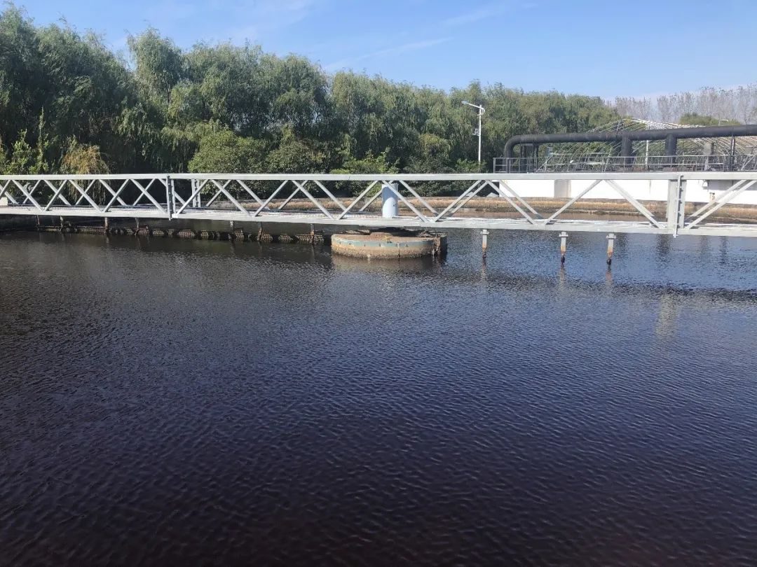 碳源.jpg 碳源.jpg