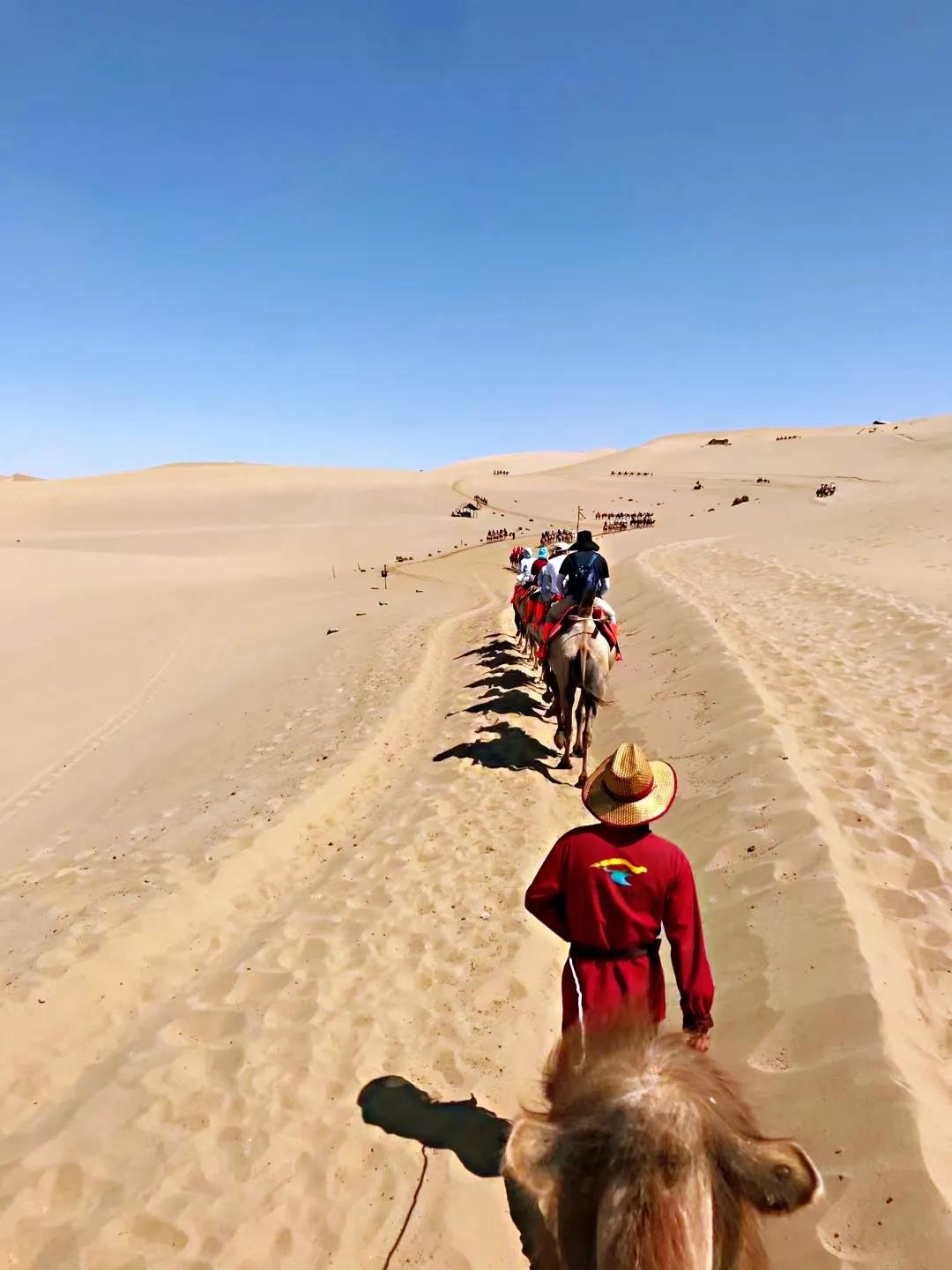 1625817624836908.jpg 1625817624836908.jpg