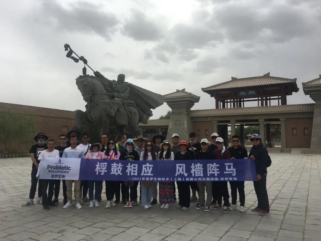 1625817880653745.jpg 1625817880653745.jpg