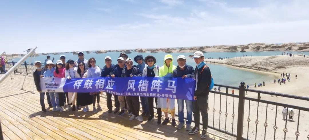 普羅生物團(tuán)建 普羅生物團(tuán)建