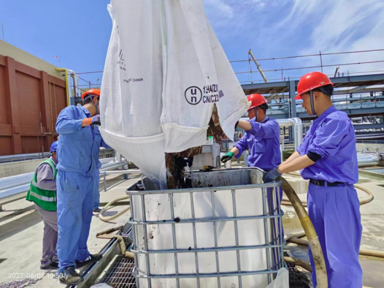 1690536830193483.png 1690536830193483.png