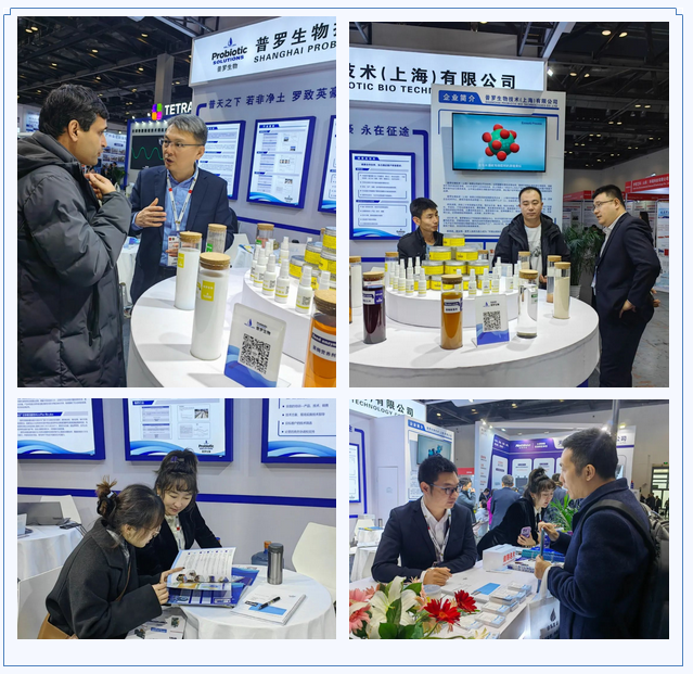 1700821862479480.png 11.png