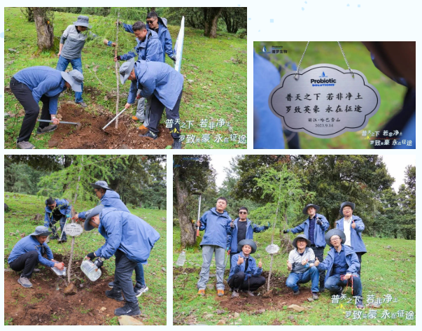 1702005532468646.png image.png